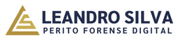 Logo Leandro Silva Perito